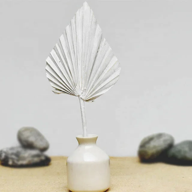 Decorative Dried Sun Dried Fan Palm Spear Sun Palm Leaves for Home Wedding Flower Decoration