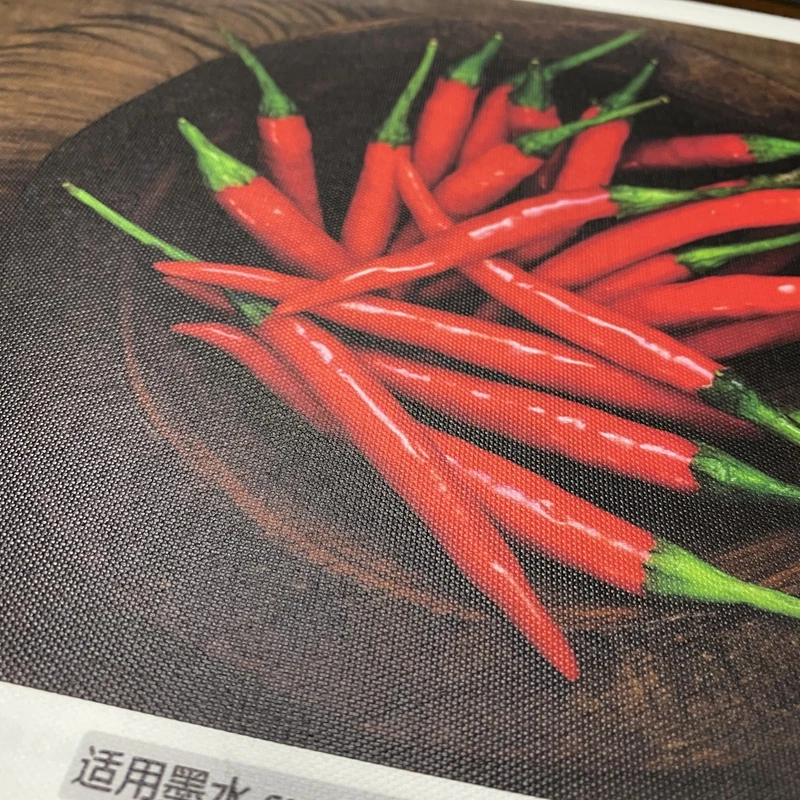 Aoli Customized Canvas Fabric Artist Canvas Digital Print Roll