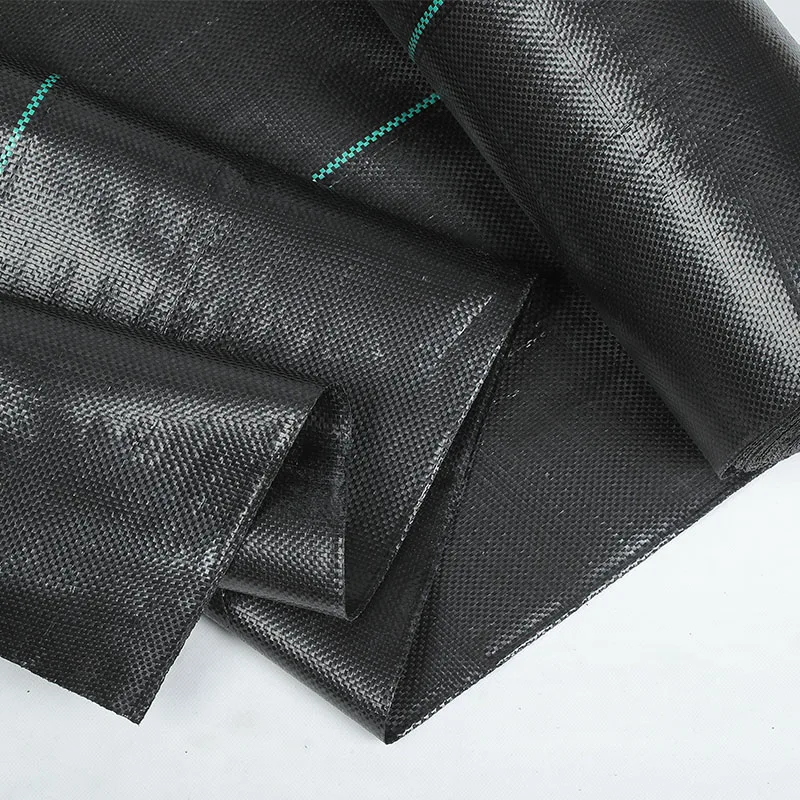 Custom-Size PP Woven Membrane PE Ground Cover Mesh Weed Mat Roll Anti-Grass Control Cloth for Garden Supplies Mulch Film