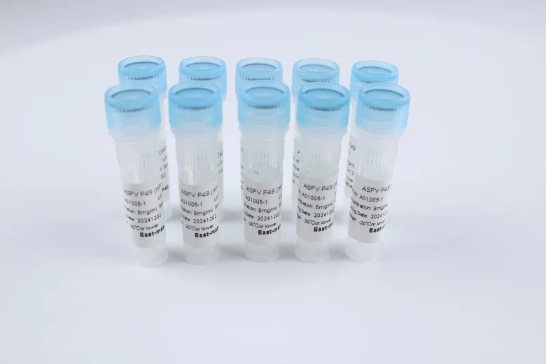 Great Value For Money Biological Reagent Effective Antibody DENV2 NS1