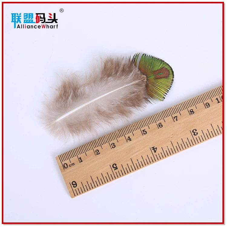 Factory Bulk Sale Cheap Natural 4-8cm Dyed Mint Green Gold Trimmed Short Small Size Peacock Feathers For DIY Clothing Decoration