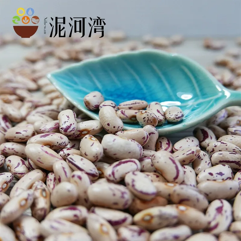 New Crop LSKB Long Shape Organic Dried Pinto Light Speckled Kidney Beans