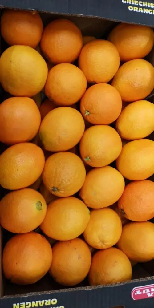 
Exports best price fruits oranges fresh from greece 