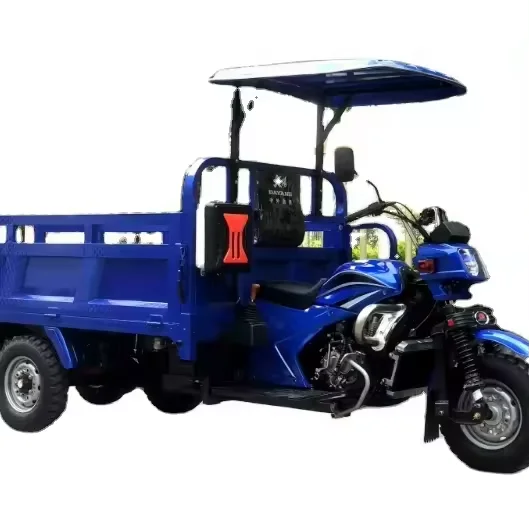 Motorcycle Cargo 150cc 200cc Moto Cargo Tricycle Agricultural Three Wheeled Motorcycle