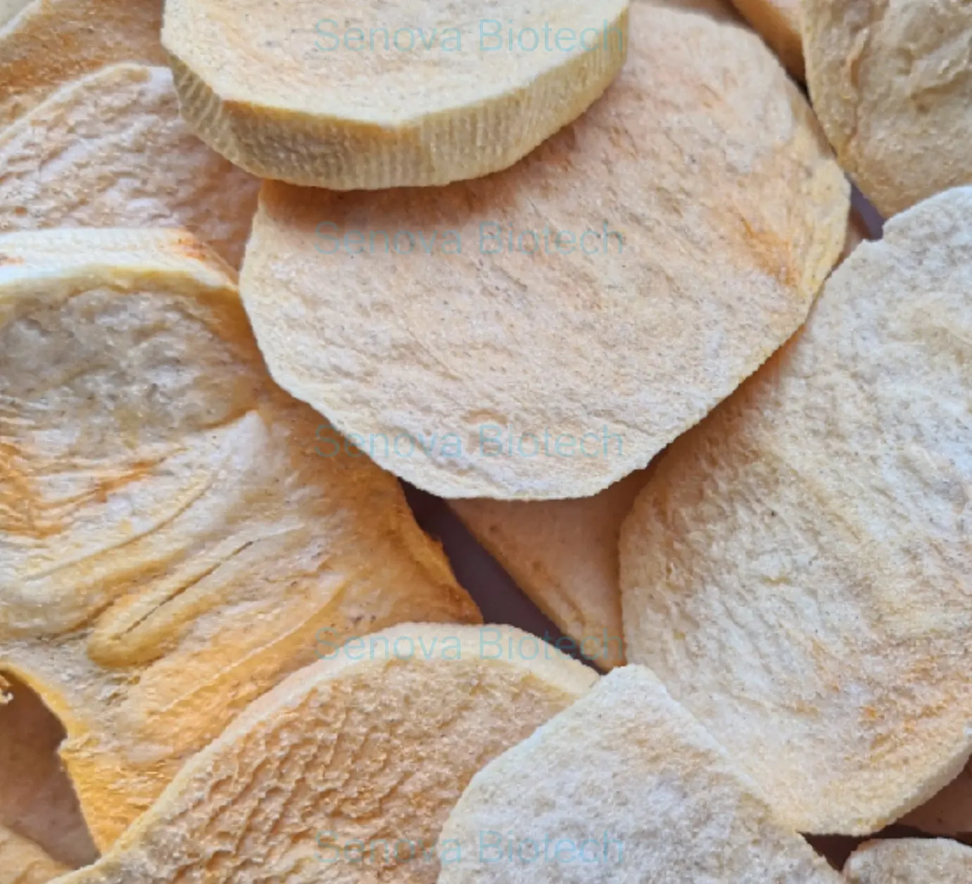 1Kg 2Kg Fruit Vegetable Dessert Dairy Small Mini Food Vacuum Freeze Dryer