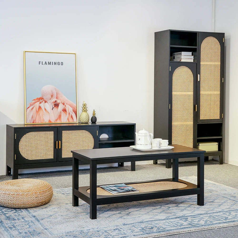 Custom High End Living Room Cabinets Double Door Pe Rattan Storage Cabinet Wooden Black Cane Rattan 2 Door Cabinet