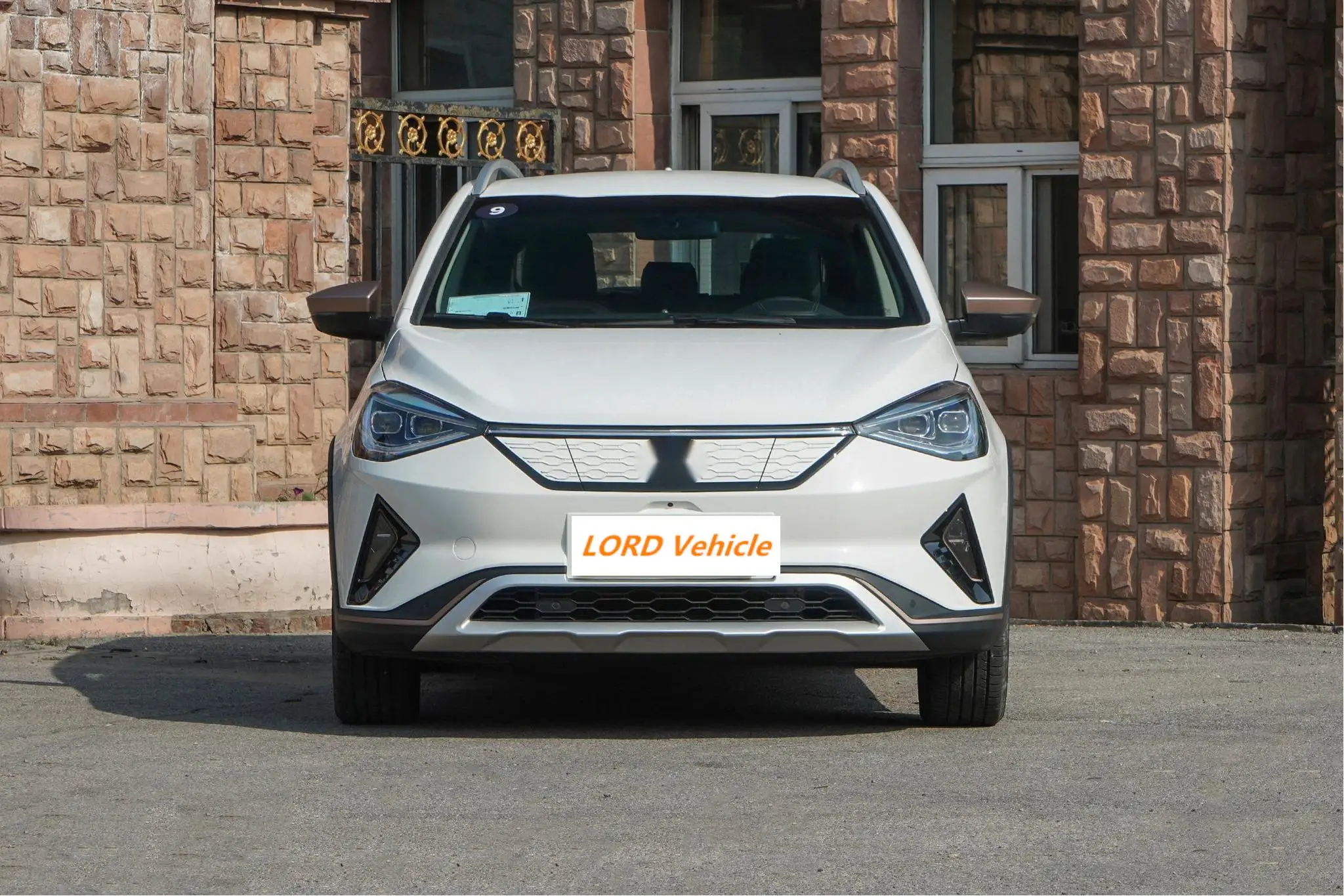 Китайский дешевый Электрический автомобиль высокоскоростной большой радиус действия маленький электрический SOL e20X для личного использования