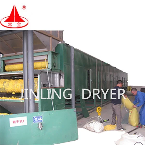 High performance DWF SS304/SS316L material wholesale hemp belt dryer machine