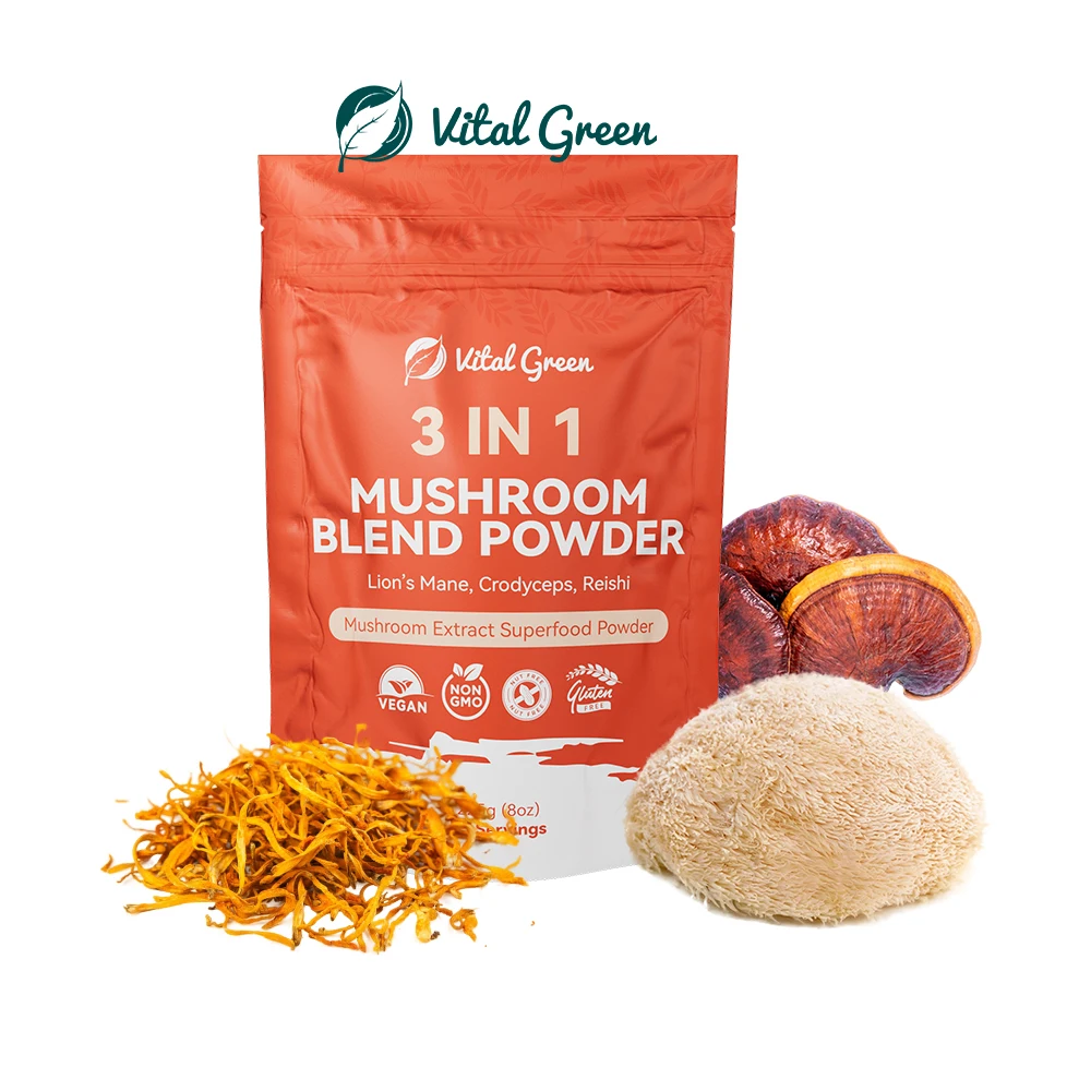 Экстракт грибной смеси Reishi Cordyceps порошок органические 10% полисахариды льва грива популярная Грибная смесь экстракт порошка