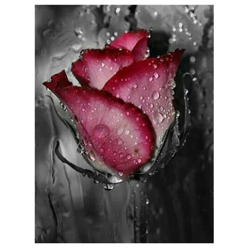 
5D DIY Diamond Painting Full Round Flower Diamond Embroidery Roses Diamond Mosaic Picture Of Rhinestone Home Decor Gift 