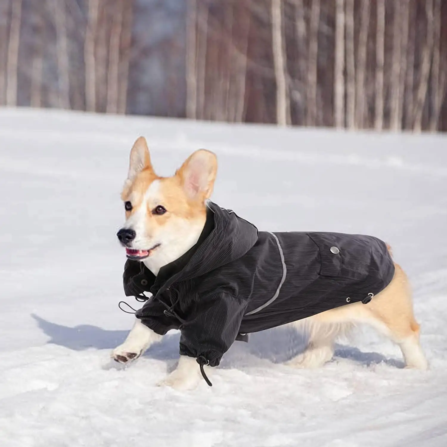 Dog Rain Coat, Pet Lightweight Waterproof  Jacket with Transparent, Reflective    Slicker coat with Leash Hole