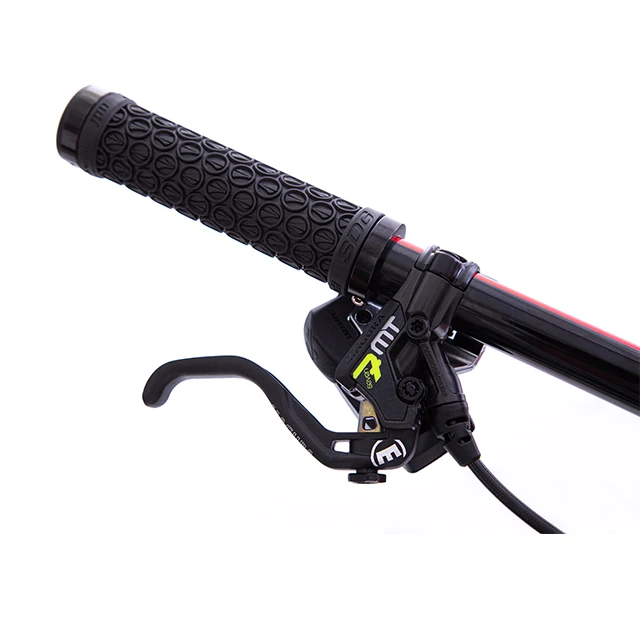 Netherlands High S10 27.5*2.8 Inch Tire Electric Mountain Bike Frame Power Battery DT Swiss Wheelset Ebike