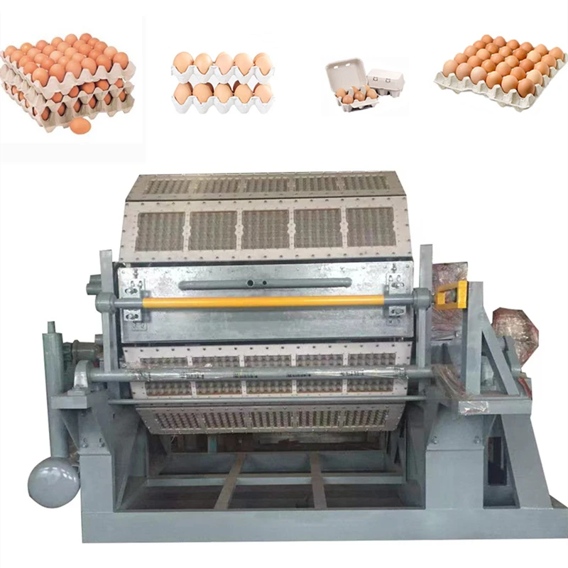 4*4 Thermoforming Small Paper Egg Tray Environmentally friendly Paper Egg Tray Making Machine