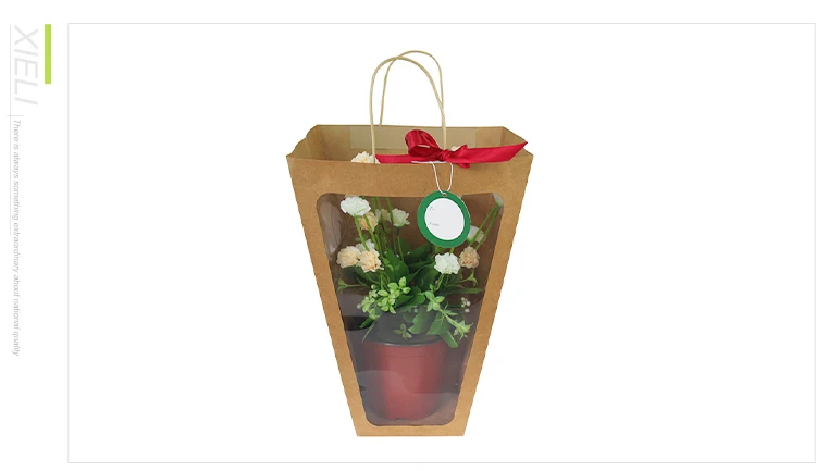 Custom printed waterproof plant pot brown kraft paper box with plastic liner bag