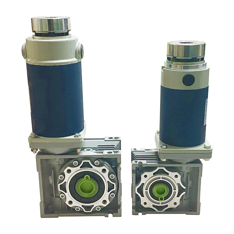 Manufacturer Well Made High Speed 3000rpm Worm Drive Dc Motor Dc Brush Worm Gear Motor