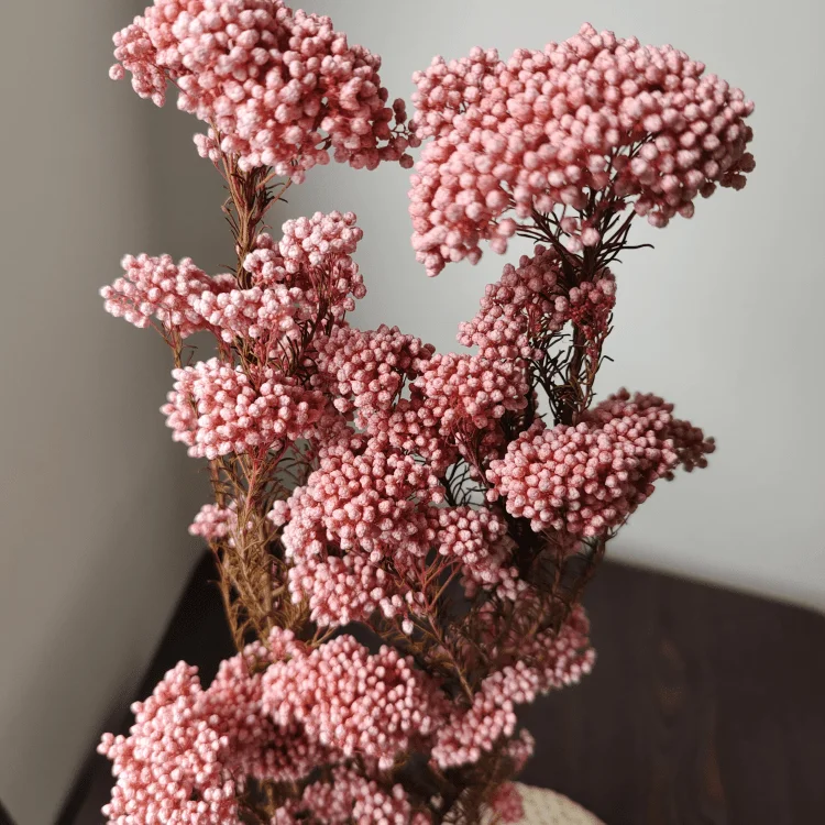 
preserved Millet flower for bouquet making and household flower arrangement preserved rice flower 