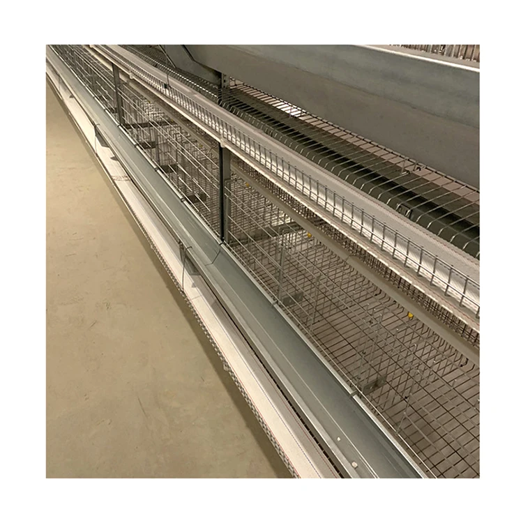 H Type Automatic Chicken Equipment Battery Cage System For Egg Laying Poultry Farming