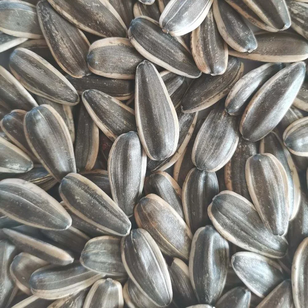 
Chinese 2020 crop black sunflower seeds 361 