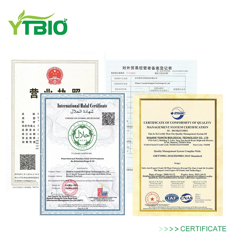 
YTBIO Ferrous Lactate CAS 5905-52-2 Iron Lactate 