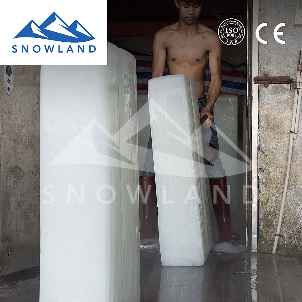 2021 Snowland ice maker for fishery with capacity 5 ton block ice of Intelligent ice production equipment