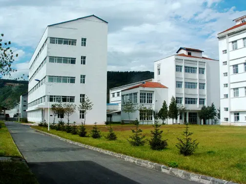 
100% pure Panax Ginseng Extract capsule P.E/health food/immunity regulation 