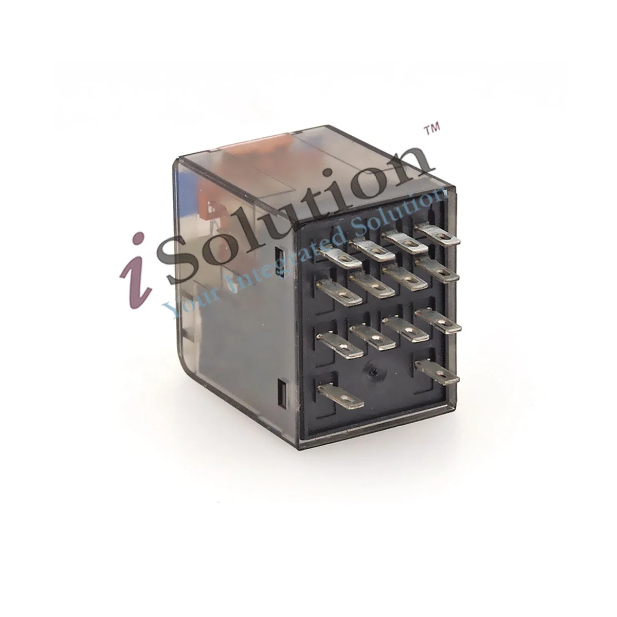 PT570024 3.jpg