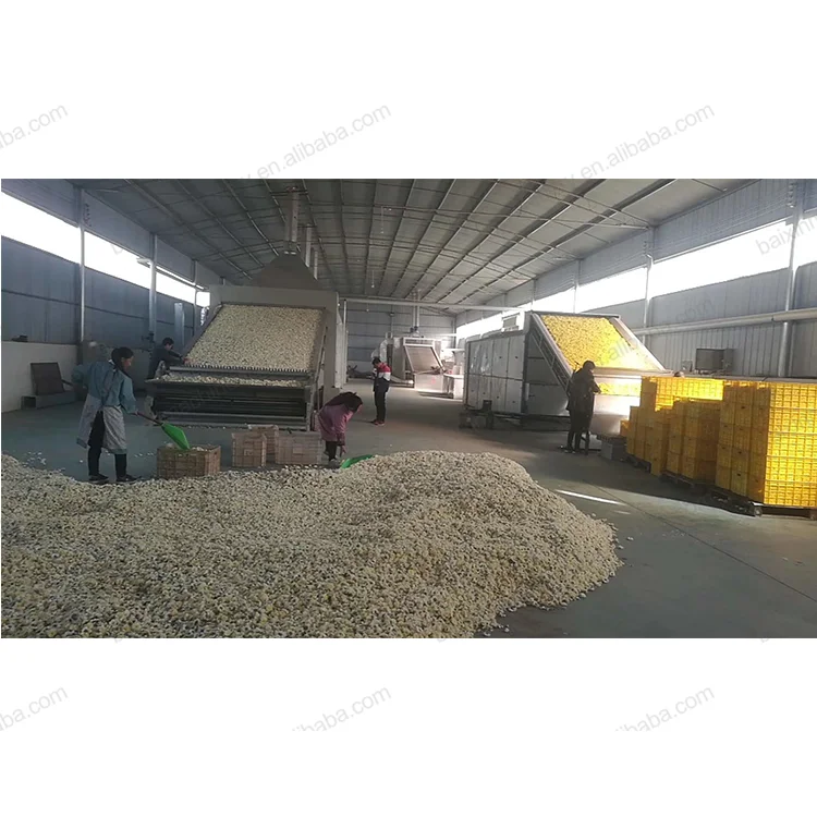 Widely Used Heat Pump Dehydrator/ Dryer/Red Chilli Drying Machine