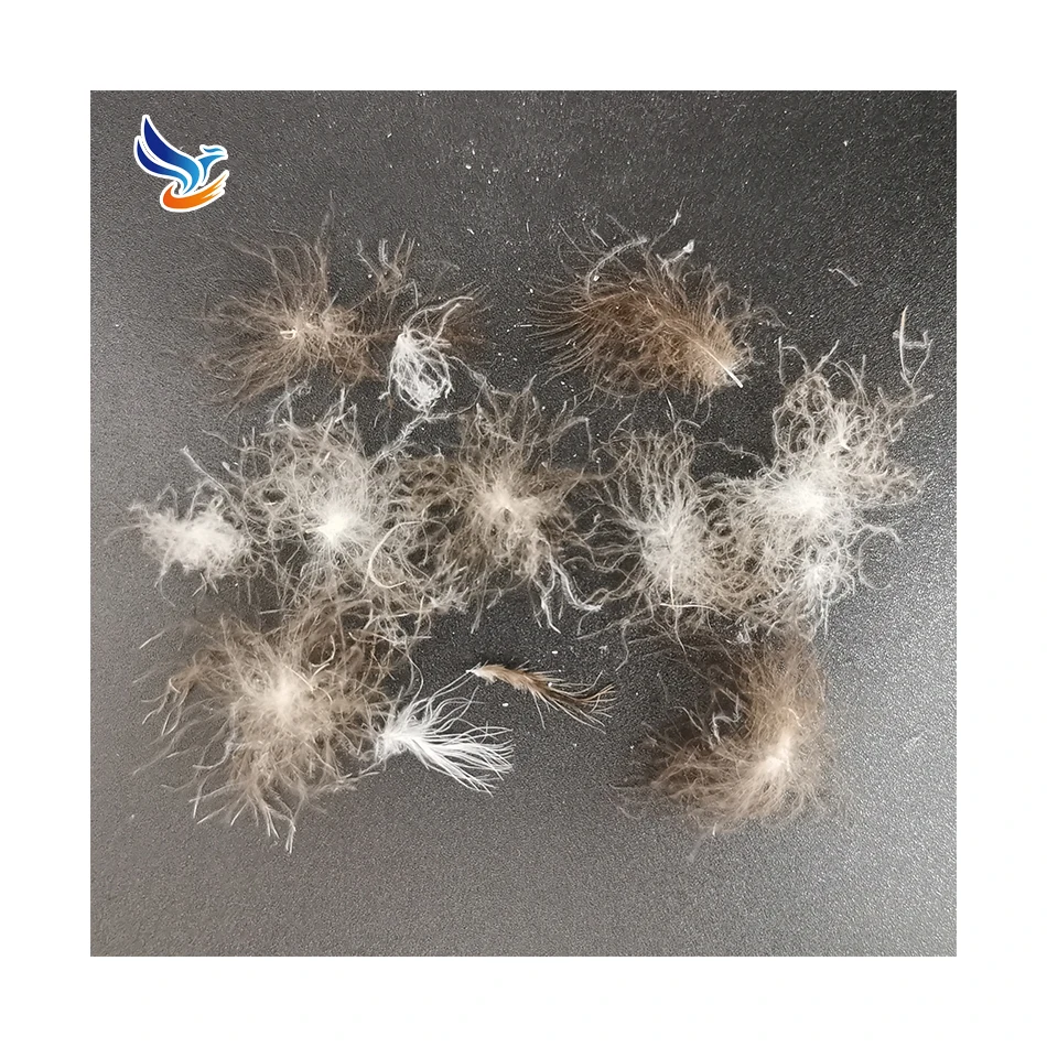 
Quality Assurance Gray Professional And Practical Washable Duck Down Sticky Natural Duck Down for Bed Linings 