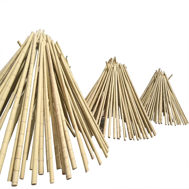 Натуральные сухие прямые и сильный бамбуковые поляки для продажи