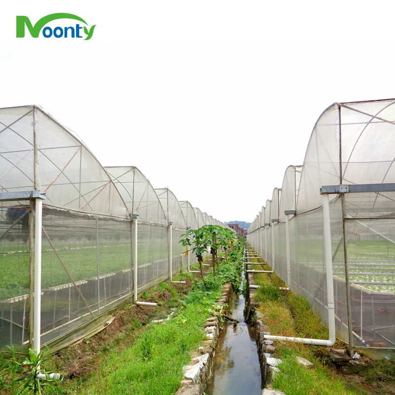 Agricultural Commercial Tropical Greenhouse For Vegetable/Crops/Cucumber/Tomato/Cherry/Pepper Growing