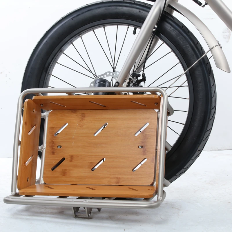 24 inch 500W dual lithium batteries food ebike 250w ebike cargo delivery family electric bike long range