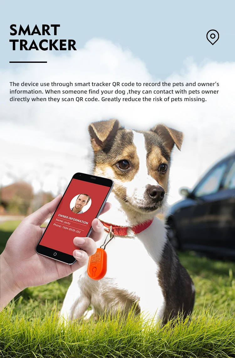 
High Frequency Ultrasonic Dog Repeller Flea And Tick Control Prevention 