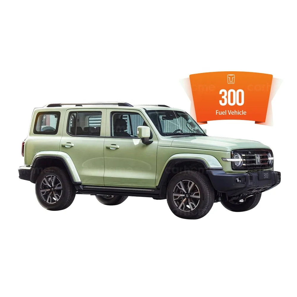 Китай бензиновый бак высокого качества Gwm 300 автомобилей 5 мест внедорожник 4 х4 цилиндра стандарт для взрослых