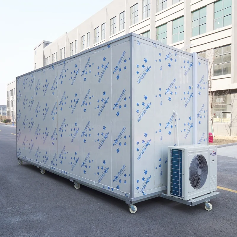 Walk in Chiller Cold Room Manufacturer Cold Storage Freezer Room with Refrigeration Equipment
