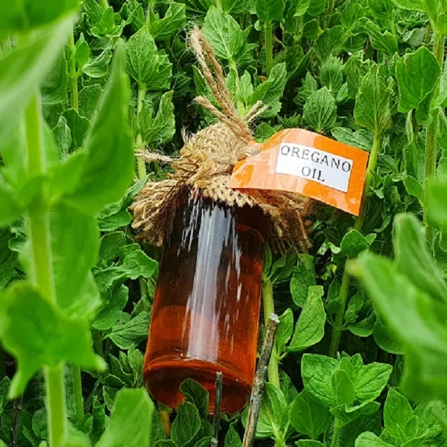 Wild Oregano Oil - Origanum Onites 100% pure from Turkey