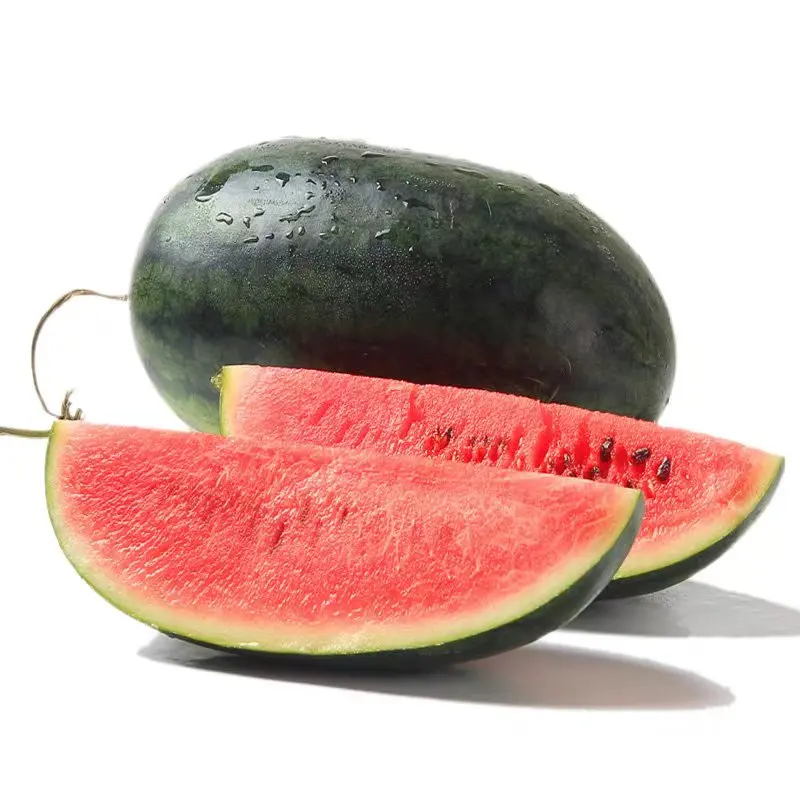 Best Selling Factory Price Fresh Watermelon High Quality Fresh Seedless Watermelon Sale Bulk Fresh Fruit Watermelon