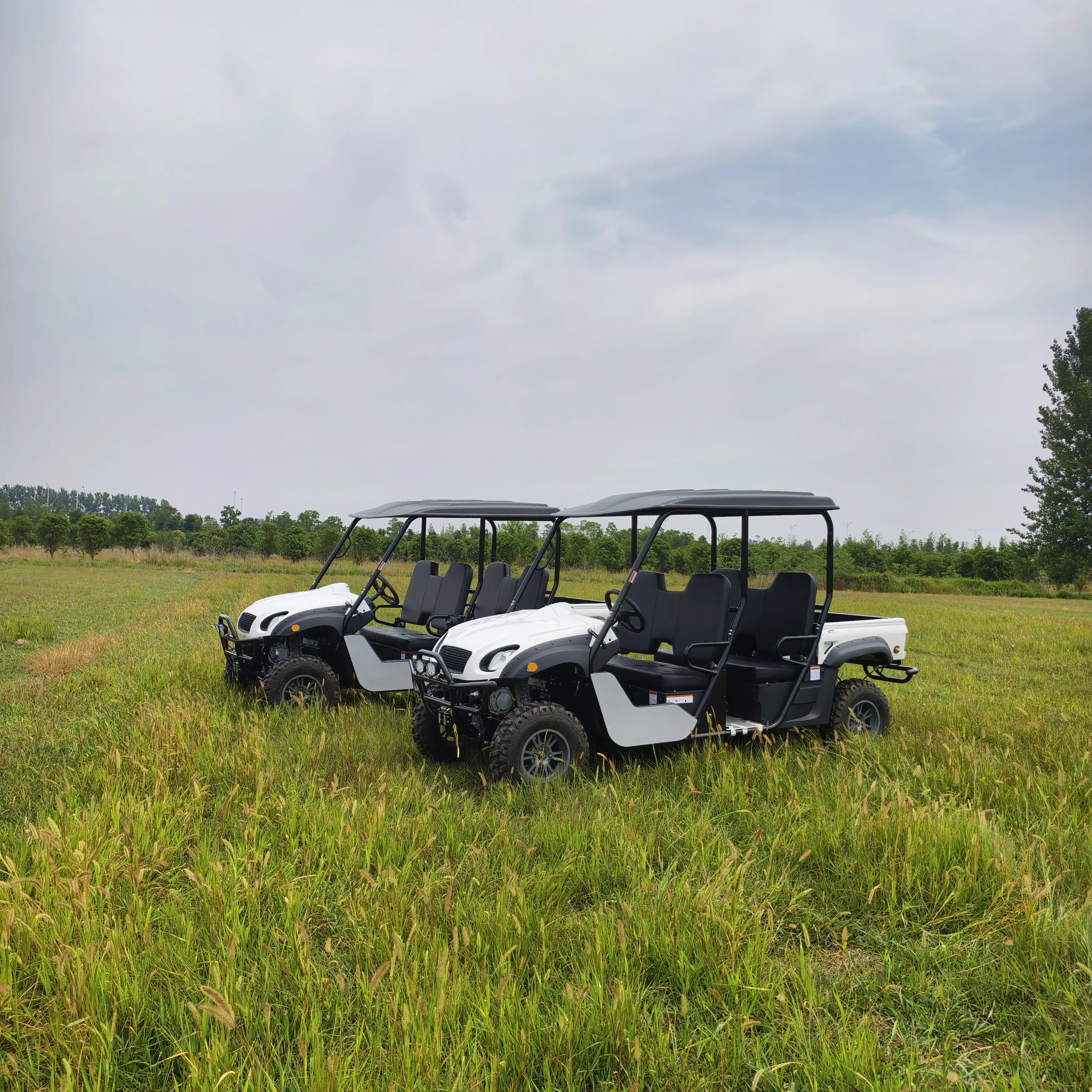 With Favorable Price Electric UTV 4x4 2wd UTV Electric Car for Sale