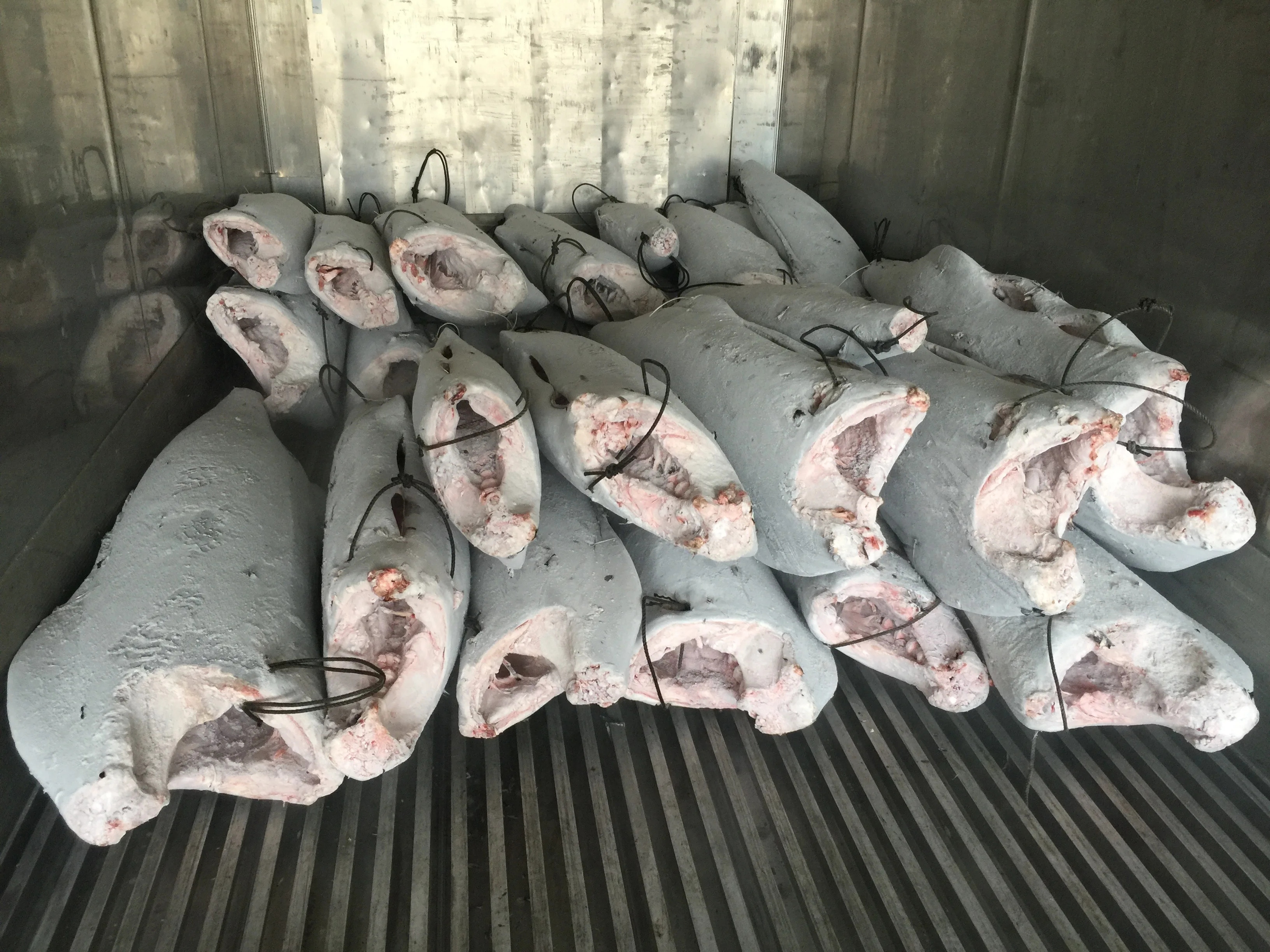 
2020 Wholesale IQF frozen Blue Marlin for fresh seafood 