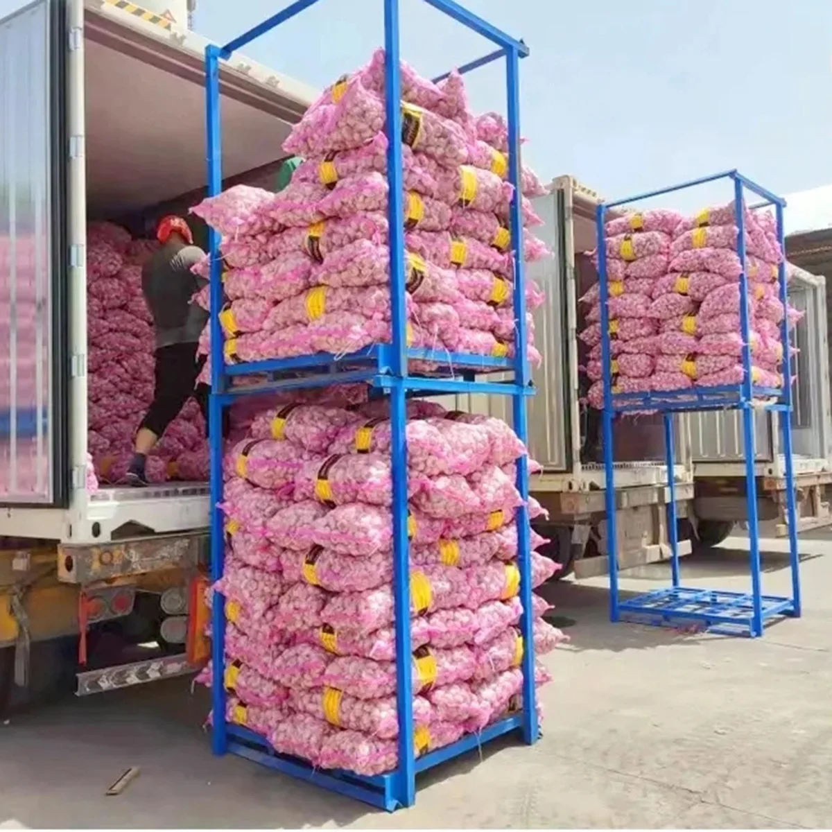 China Chreap rates Per Tonne Wholesale Fresh Garlic China Pink Fresh Garlic 6.0cm For Egypt Buyers