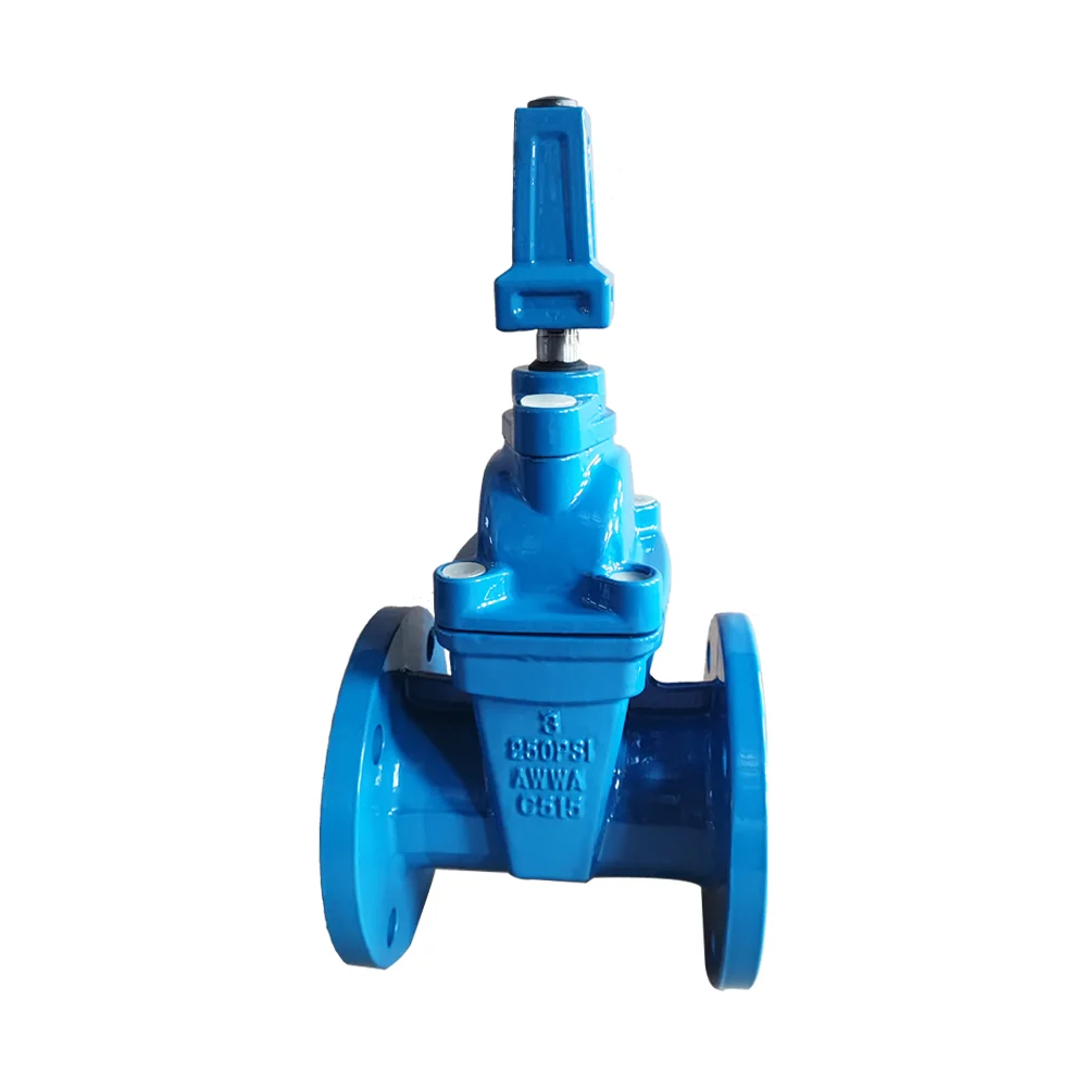 DIN3352 F4 F5 4 inch Ductile cast iron NRS NBR resilient seated GGG50 gate valve BS5163
