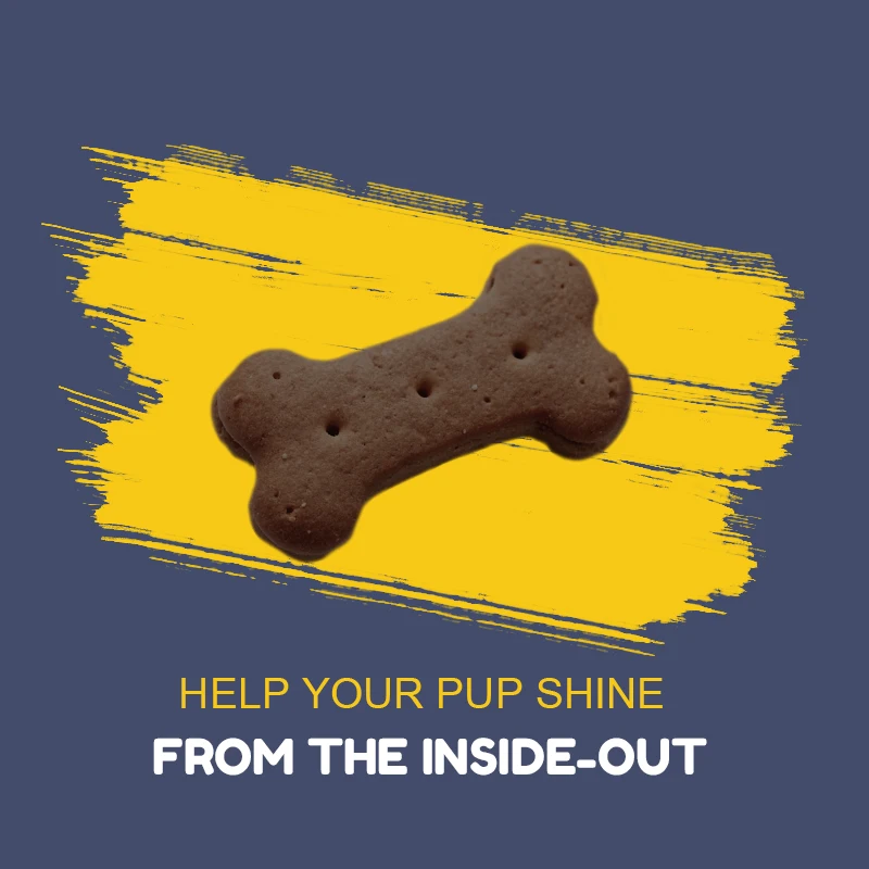 Custom Canine Omega-3 Fish OIL Supplement Chew Shrimp Food Soft Dog Treats