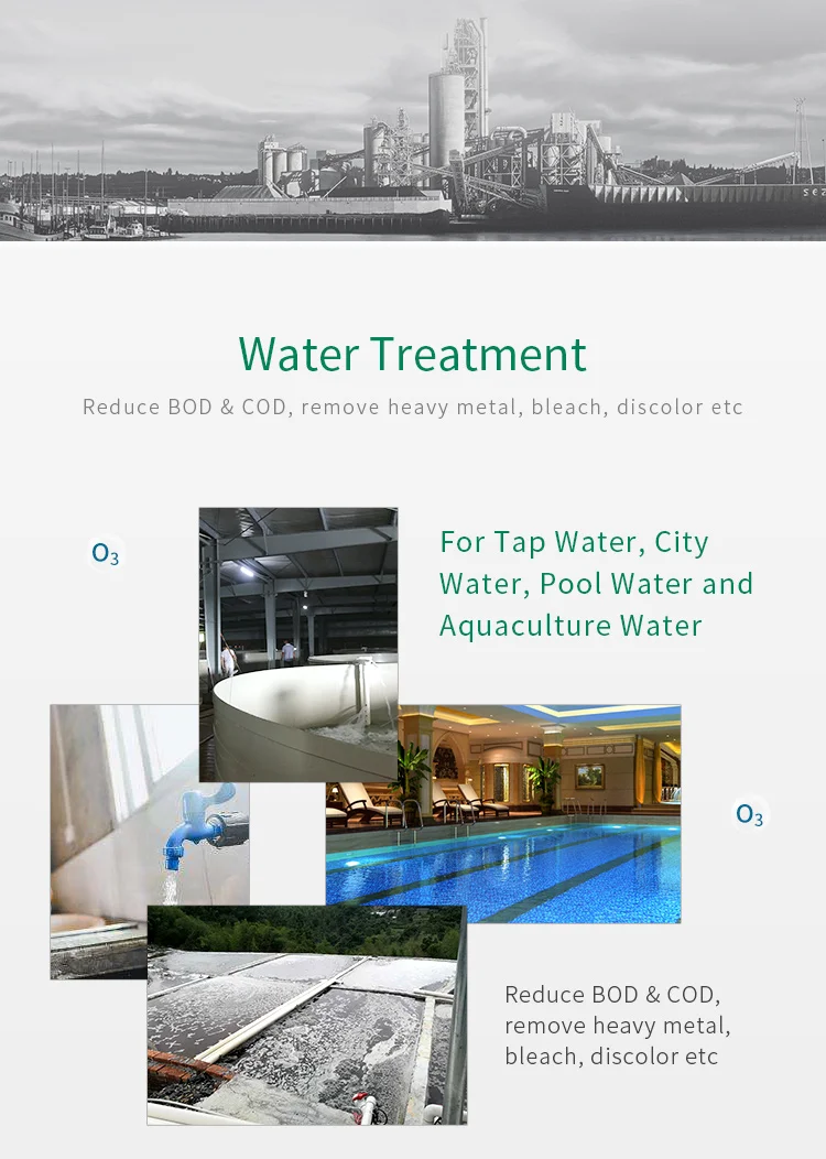 Hot Sale CE Ozone Machine Ozone Generator for Water Treatment Air Purifier Fish Pond Aquaculture