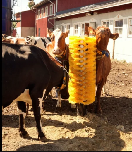 Tianzhu Factory Mechanical Massage Cow Brush For Farm To Improve The Health Of Cattle