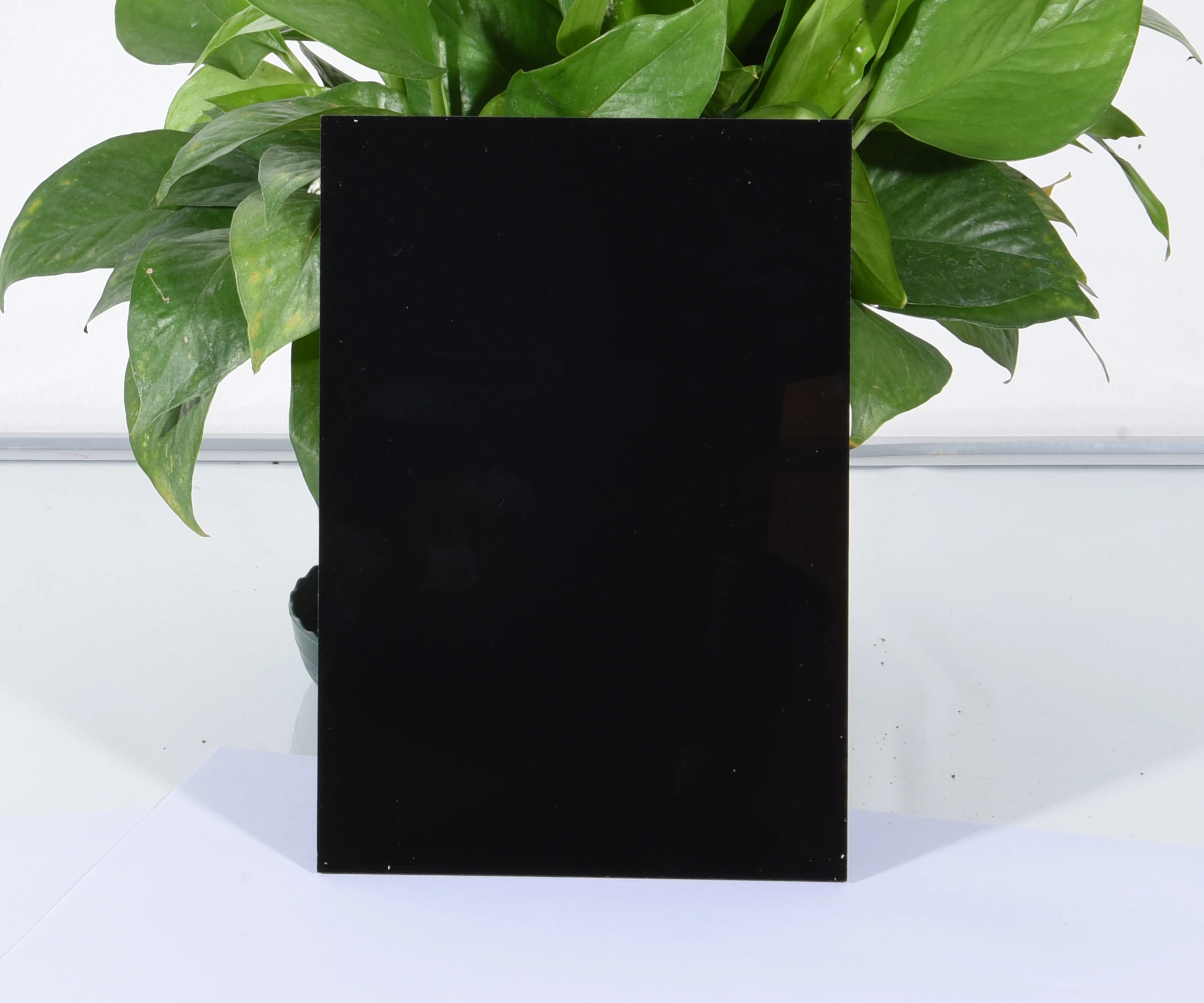 plaque membrane  monolithic clear porous polycarbonate membrane