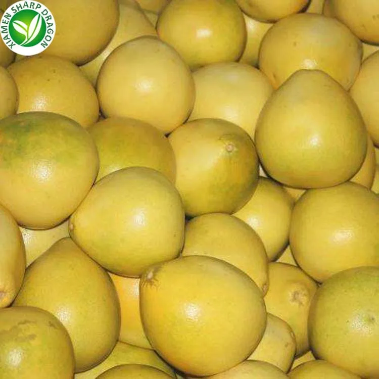 Hot Sale Sweet grapefruit Pomelo from CHINA SD High Quality