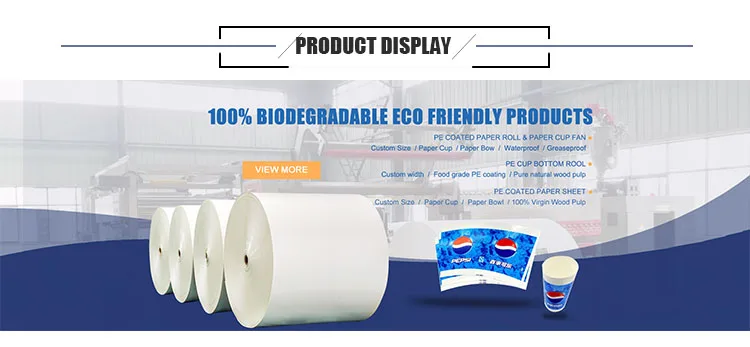 PE coated paper in rool.jpg