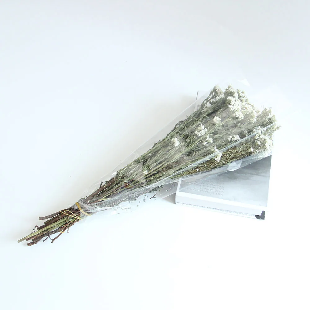 Top Seller Wholesale Most Popular Dried Flowers Small White Flowers Cheese Daisy White Plums For Decorative Wedding Party