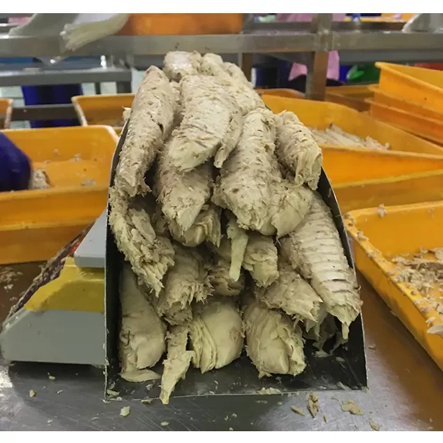 5kgs BQF Factory Frozen Tuna Fish Fresh Bonito Loin