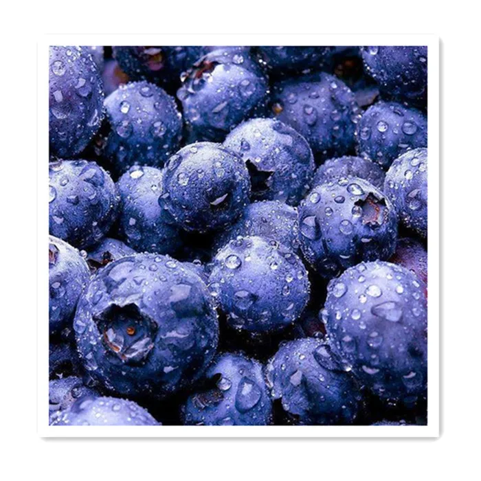 
Superior export quality frozen fruit frozen blueberry prices from China factory 