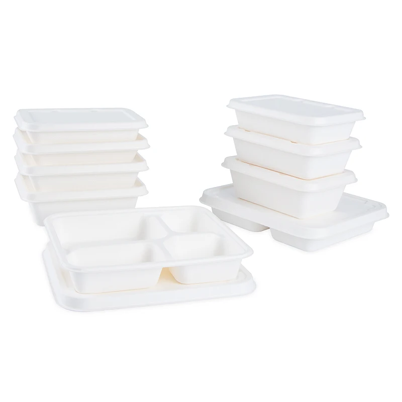 Environmentally 100% Natural Compostable Sugarcane Bagasse Environmentally Takeaway Plant-based Food Containers